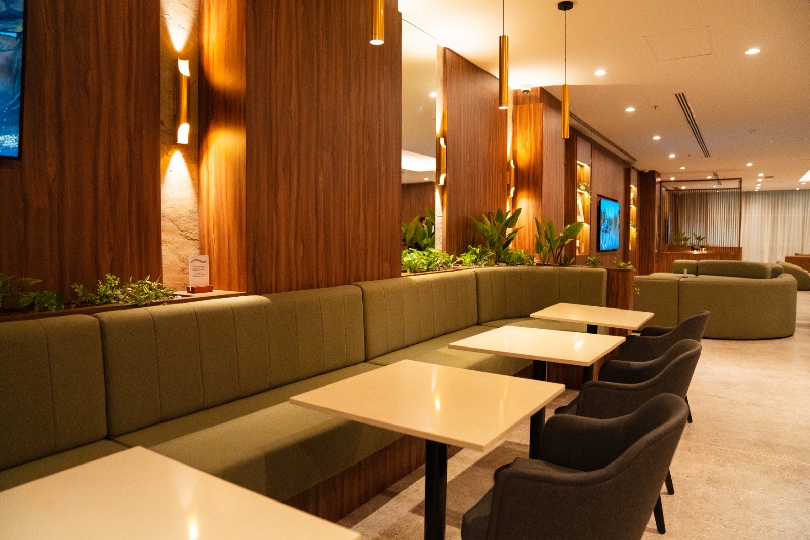 AMAE Lounge – Domestic Flights image