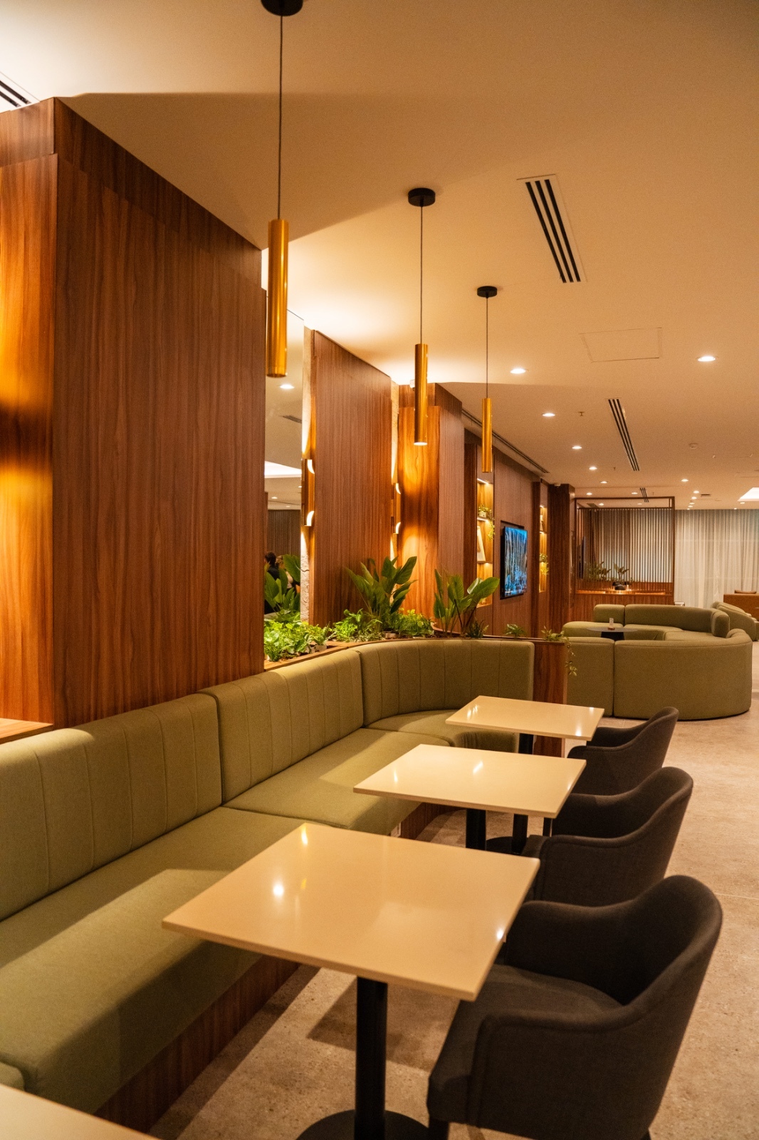 AMAE Lounge – Domestic Flights image