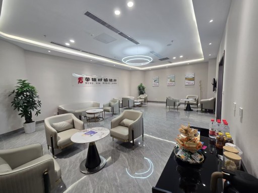 VIP Lounge (Domestic) image
