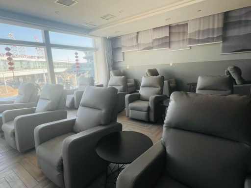 Shared Sleeping Pod Lounge (T1 Domestic) image